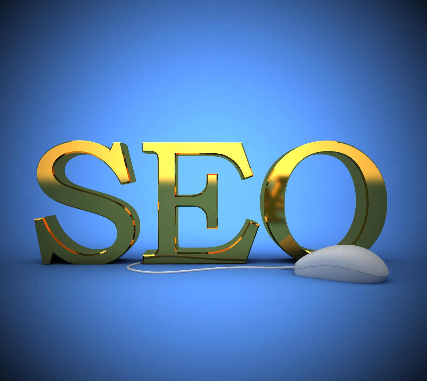 Web Site