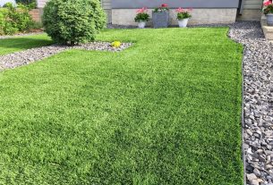 Synthetic Cricket Pitch Maintenance