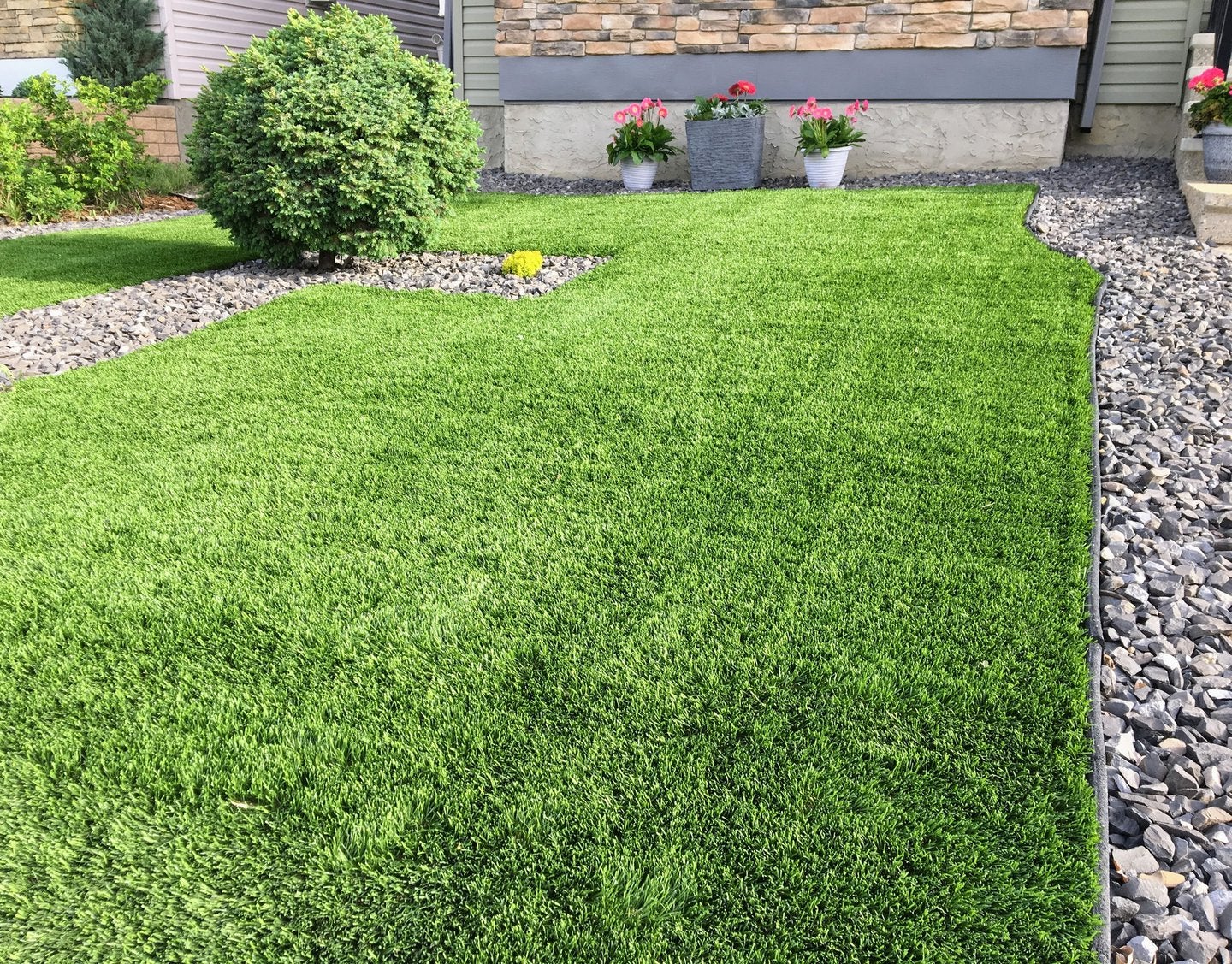 Synthetic Cricket Pitch Maintenance