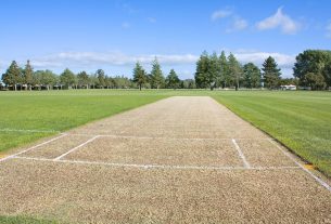 Synthetic Cricket Wicket